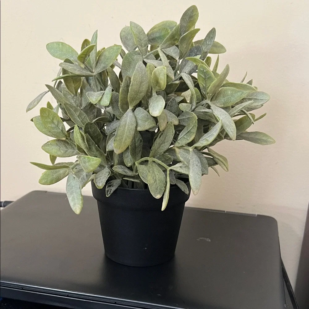 NEW 